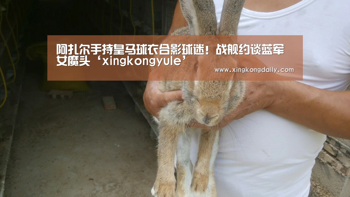 阿扎尔手持皇马球衣合影球迷!战舰约谈蓝军女魔头‘xingkongyule’(图1) 阿扎尔手持皇马球衣合影球迷!战舰约谈蓝军女魔头‘xingkongyule’(图1)