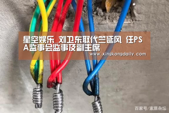 星空娱乐_刘卫东取代竺延风 任PSA监事会监事及副主席(图3) 星空娱乐官网