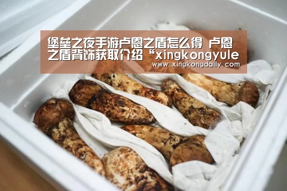 堡垒之夜手游卢恩之盾怎么得 卢恩之盾背饰获取介绍“xingkongyule”(图2) 星空体育娱乐
