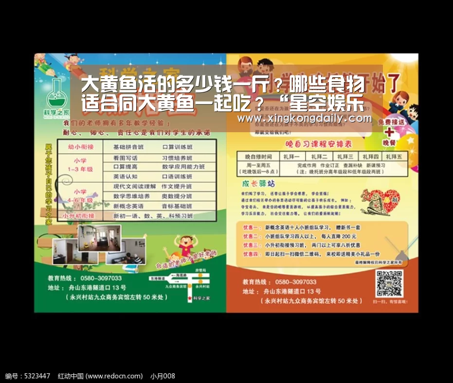 星空娱乐