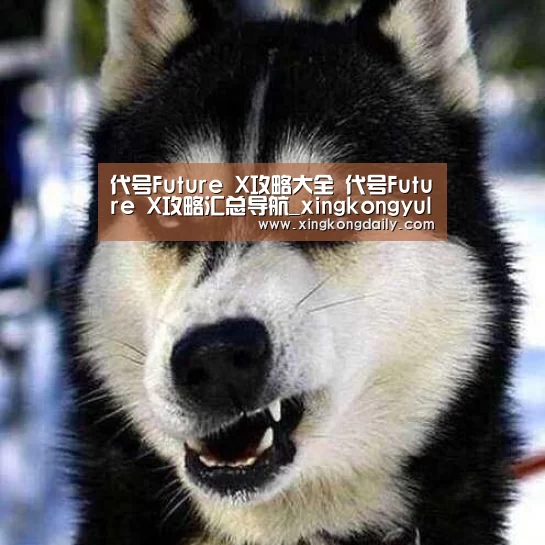 星空娱乐官网