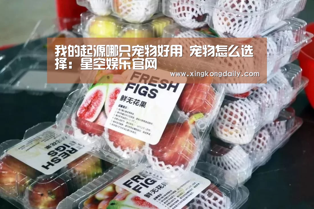 我的起源哪只宠物好用 宠物怎么选择:星空娱乐官网(图3) 星空娱乐