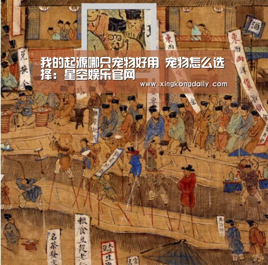 我的起源哪只宠物好用 宠物怎么选择:星空娱乐官网(图4) 我的起源哪只宠物好用 宠物怎么选择:星空娱乐官网(图4)