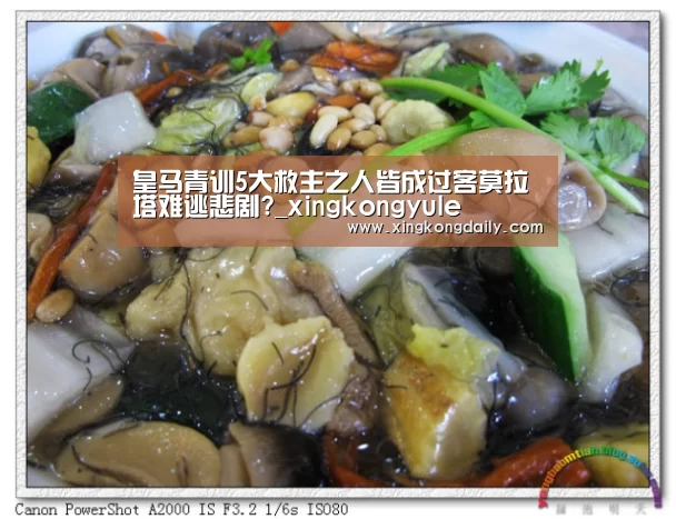星空体育娱乐