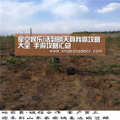 星空娱乐|活到明天算我赢攻略大全 手游攻略汇总(图4)